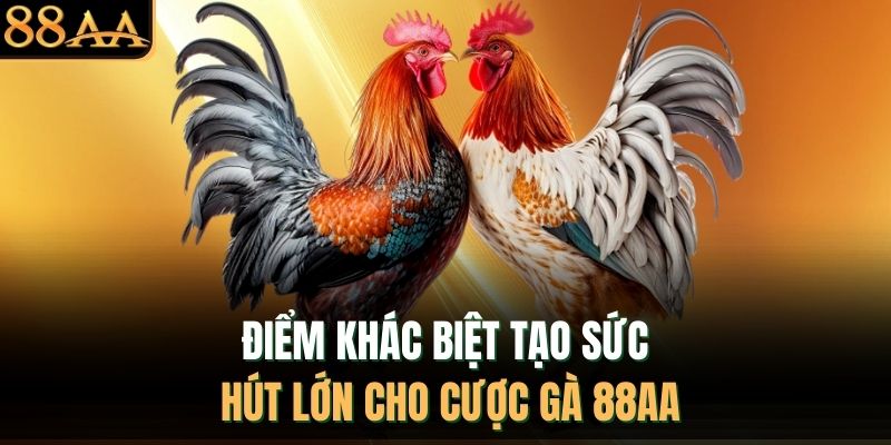 Điểm khác biệt tạo sức hút lớn cho cược gà 88AA
